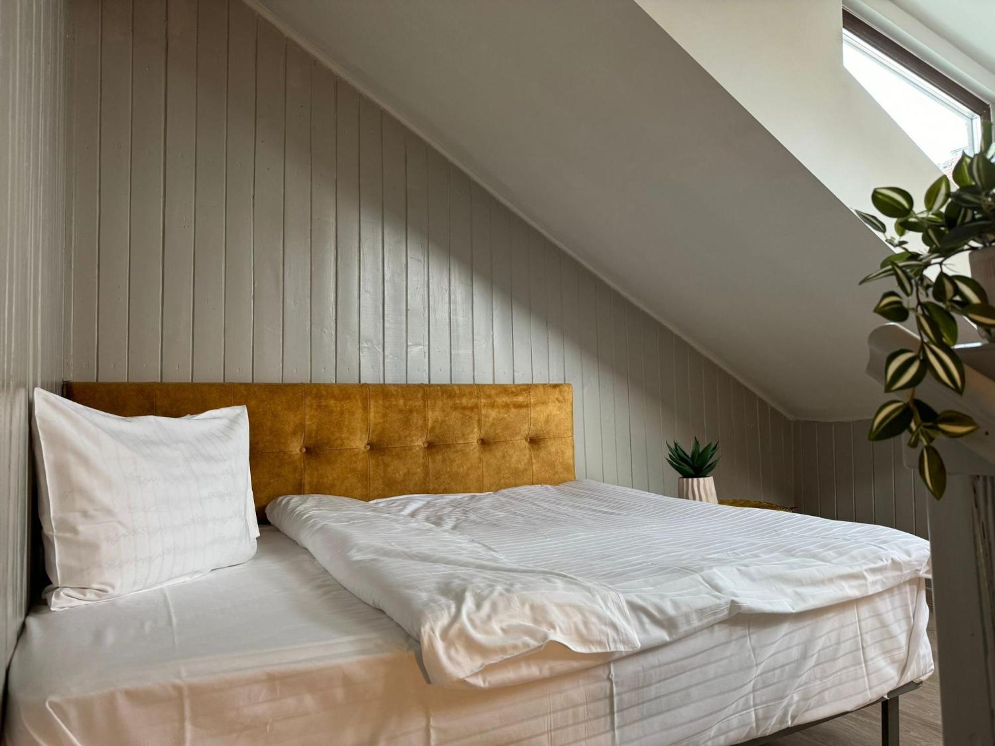 Central Stay Braşov Eksteriør bilde