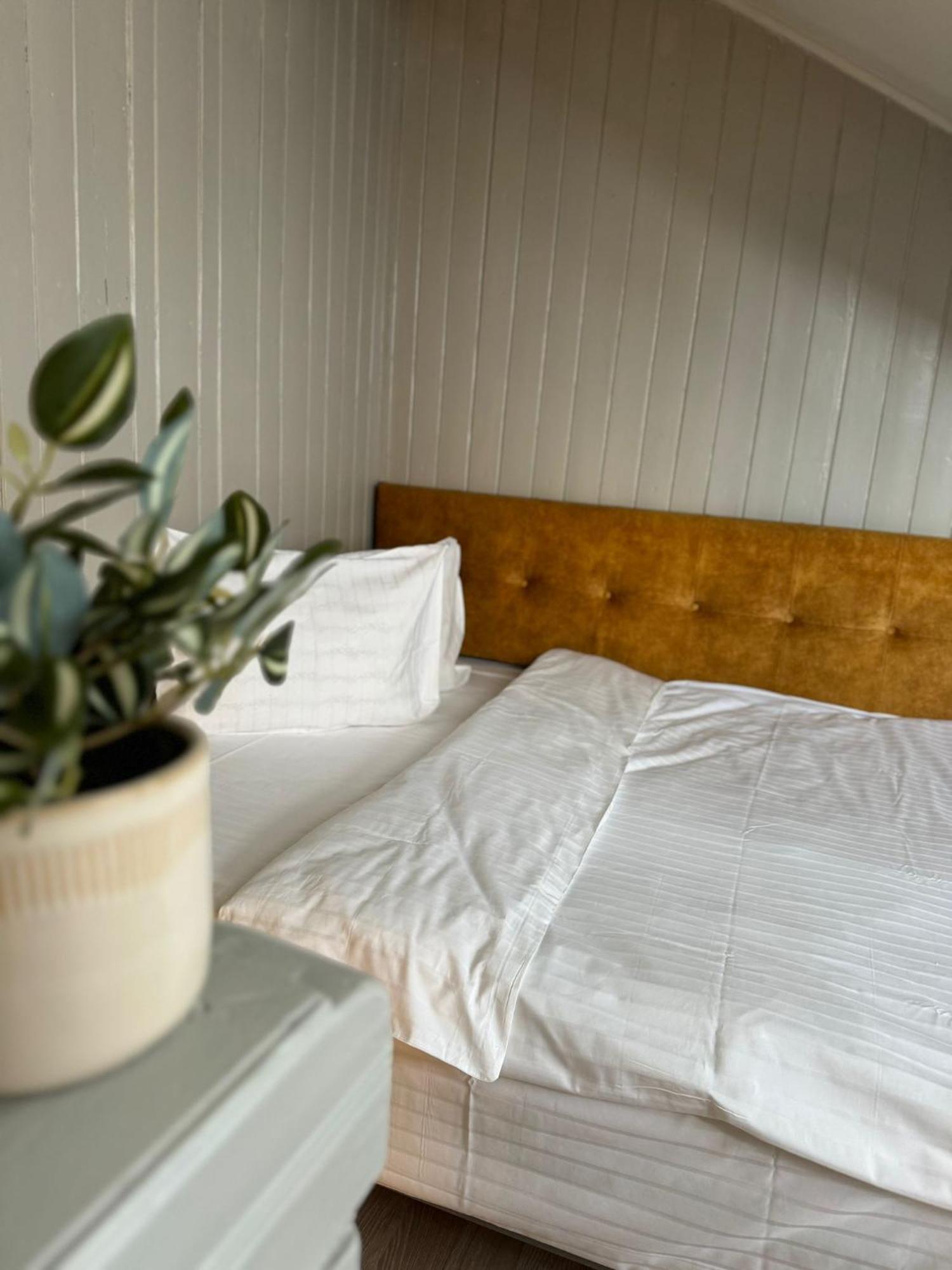 Central Stay Braşov Eksteriør bilde